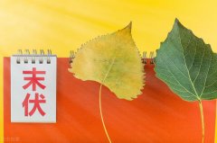 【末伏養(yǎng)生】潤肺養(yǎng)顏，止咳清肺